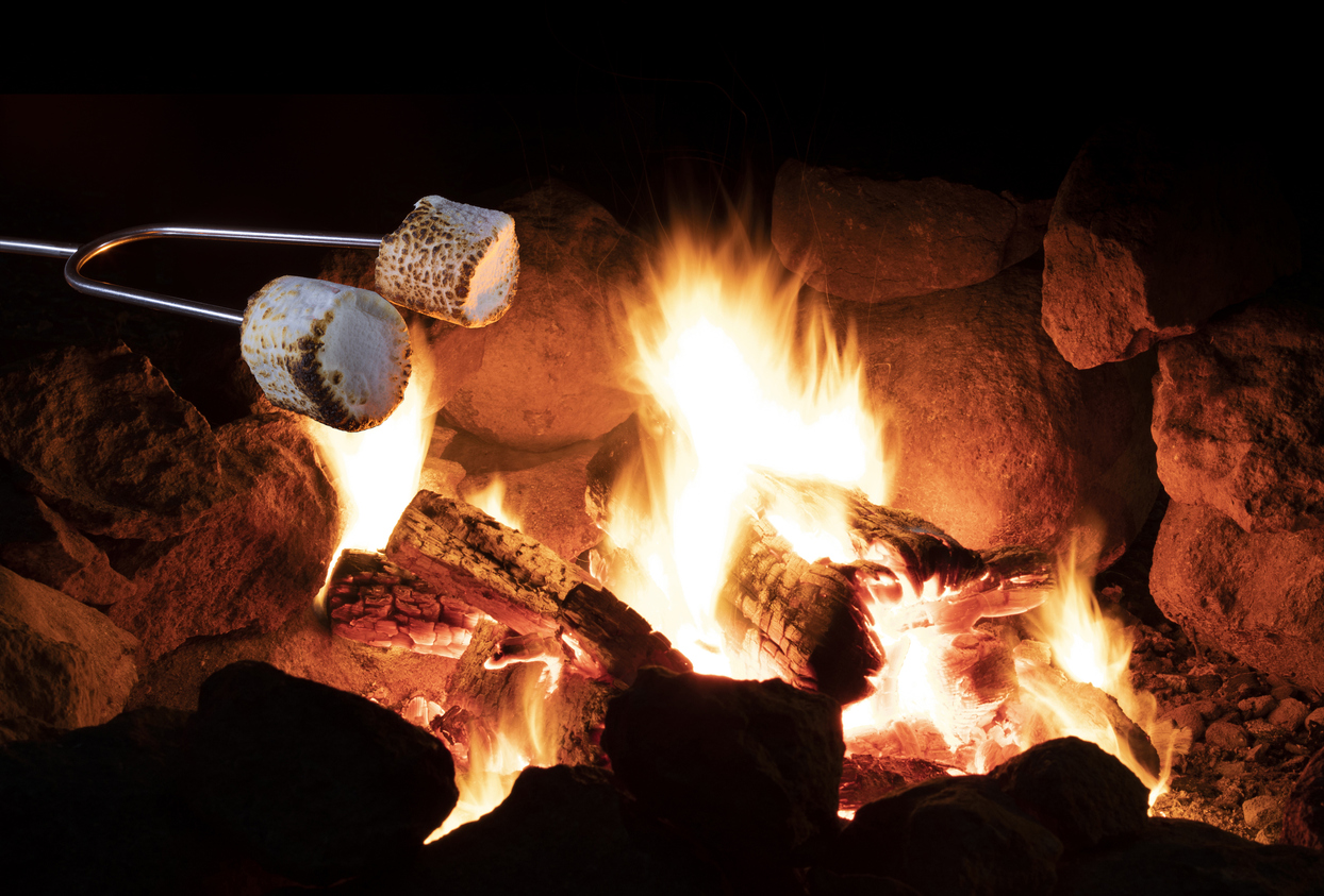 Marshmallows roasting on a small campfire