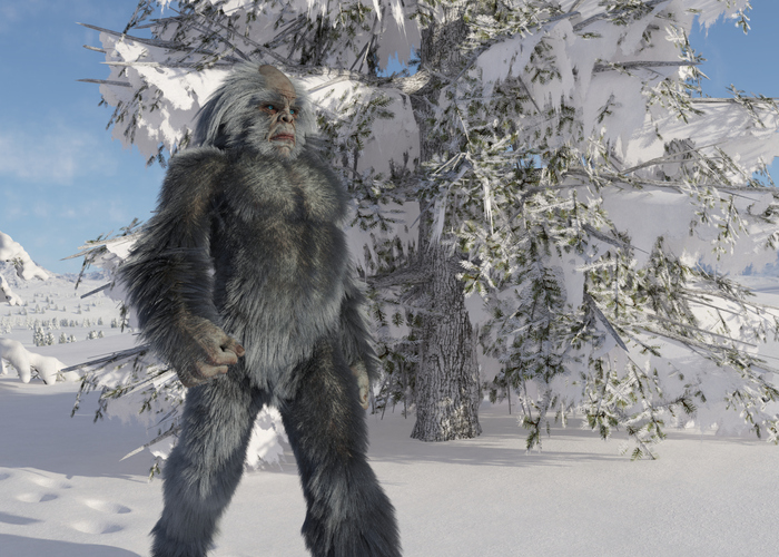 Adirondack Bigfoot